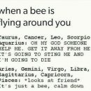 Why are people so freaking scared of bees? They’ll only hurt you as a…