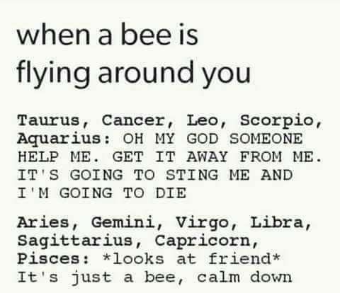 Why are people so freaking scared of bees? They’ll only hurt you as a…