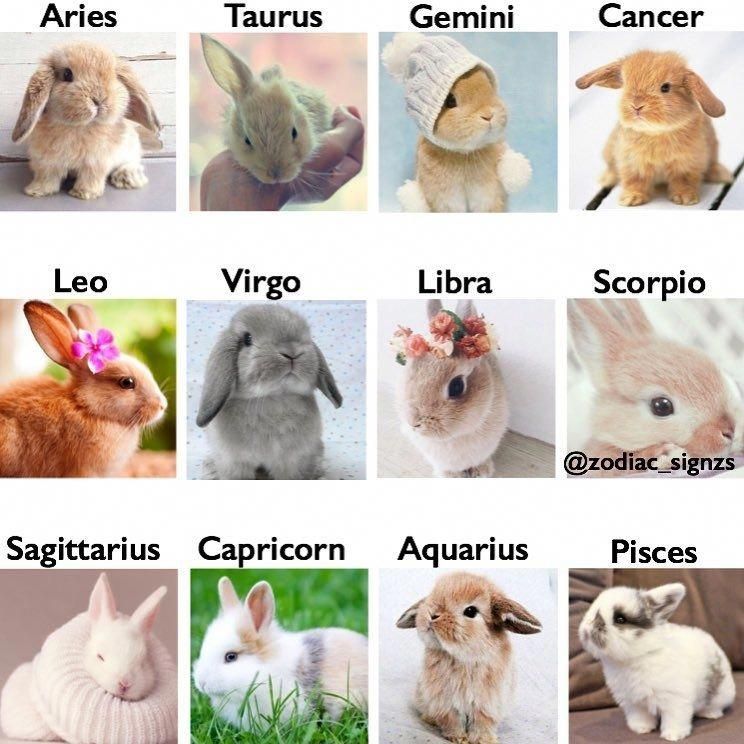 Conscientious replied astrology signs relationships No Experience Required