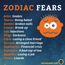zodiac signs, aries, taurus, gemini, cancer, leo, virgo, libra, scorpio, sagittarius, capricorn, aquarius, pisces,…