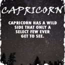 capricorn zodiac sign fun facts
