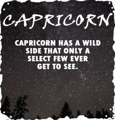 capricorn zodiac sign fun facts