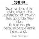 Zodiac Scorpio Facts – For more zodiac fun facts, click here