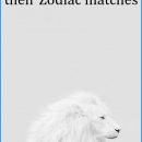 Who Women Should Date According to their Zodiac matches