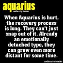 1000+ ideas about Aquarius Traits on Pinterest | Aquarius, Aquarius Daily and Aquarius Facts