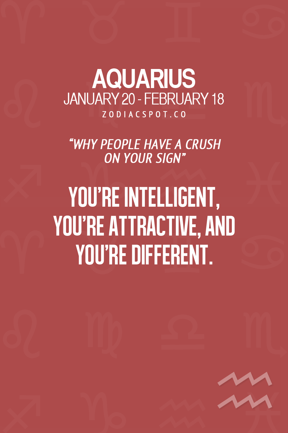 Find out why people have a crush on your sign here - Zodiac Memes