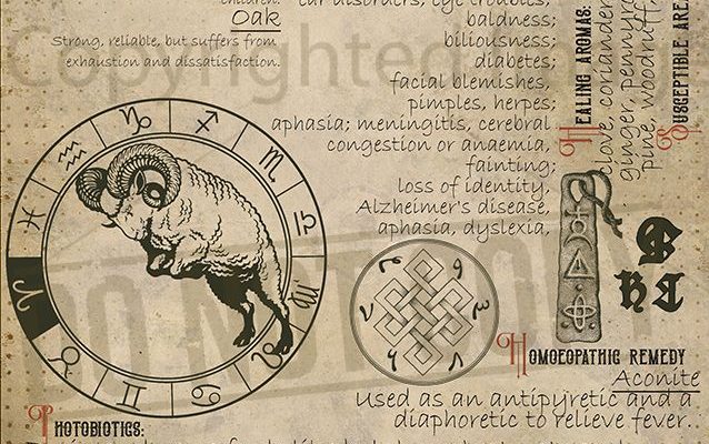 Aries Zodiac Sign 6