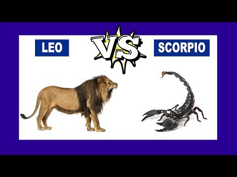Leo vs. Scorpio: Who Is The Strongest Zodiac Sign?