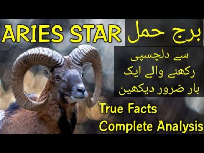 Aries Personality, Aim, Love, Life, Health, Career | #AriesStar #AriesHoroscope #AriesZodiacSign