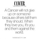 1000+ ideas about Cancer Personality on Pinterest | Cancer Zodiac