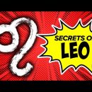 Are You a Leo? Here’s What Makes You Unique