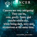 Cancer zodiac sign ♋