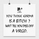 Virgo Zodiac Poster-Karma is a Bitch? Piss off a Virgo