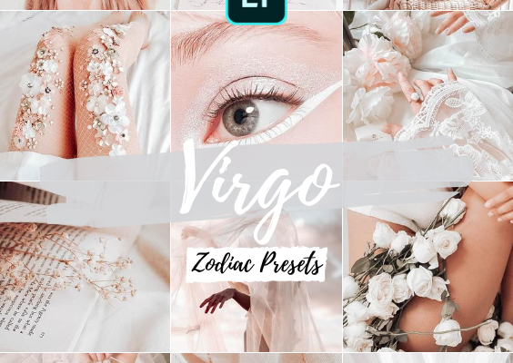 VIRGO Preset Lightroom Preset Zodiac Preset Bright Preset Rose Gold Preset Virgo Gift vsco white