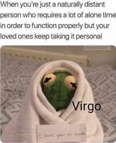 Virgo memes that are so honest you probably don’t want to know – /…