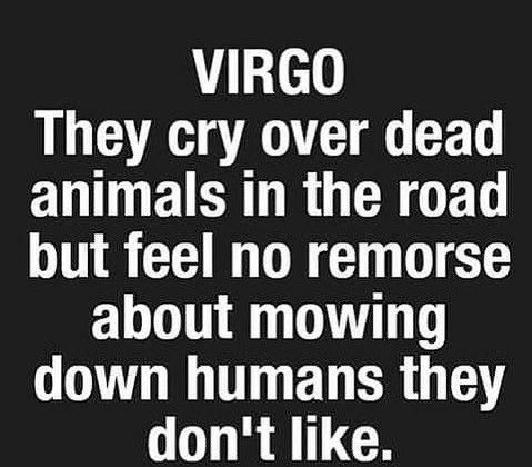 I’ve pinned this2let y’all know that i found a CREEPY YET MYSTERIOUS  fact about virgo on the web😳