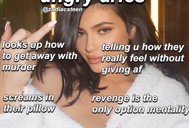 zodiacs & astrology on Instagram: “the signs when angry part one: aries-virgo follow me…