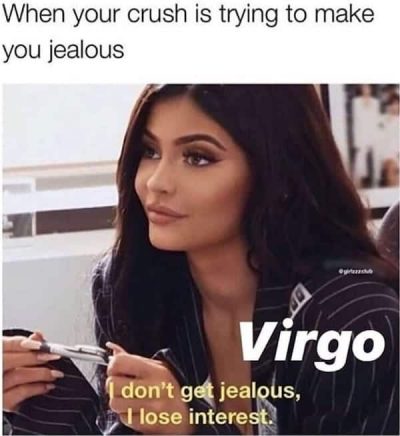 27 Funny And Relatable Virgo Memes That Are Basically Facts