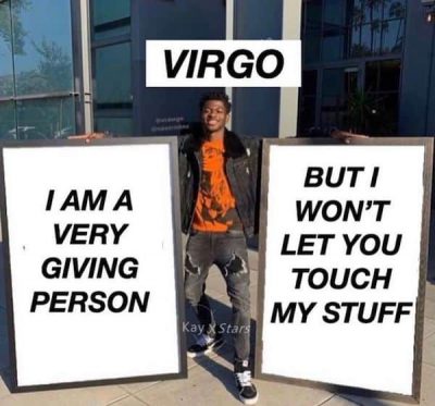 27 Funny And Relatable Virgo Memes That Are Basically Facts