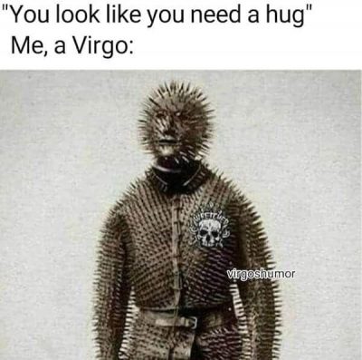 27 Funny And Relatable Virgo Memes That Are Basically Facts