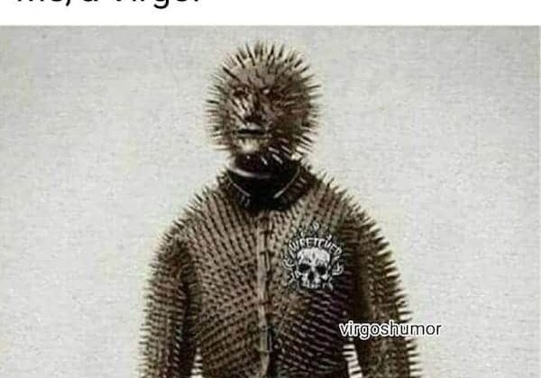 27 Funny And Relatable Virgo Memes That Are Basically Facts