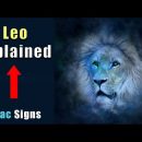 Leo | Zodiac Signs Explained | Astrology⭐