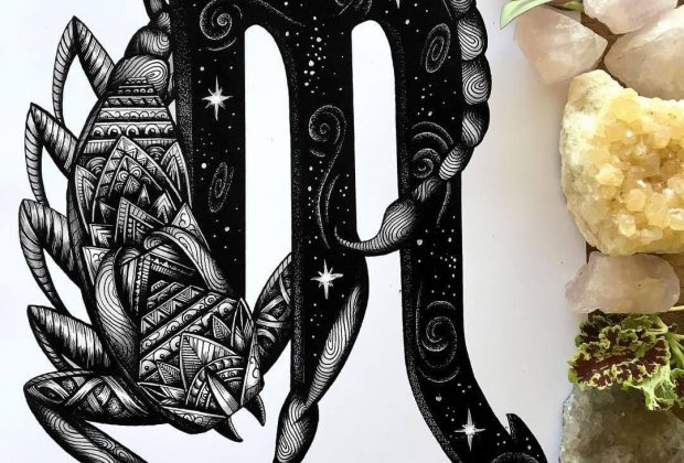 Animal Zentangle Drawings.