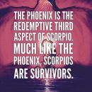 The Phoenix is the redemptive third aspect of this sign. Much like the Phoenix,…