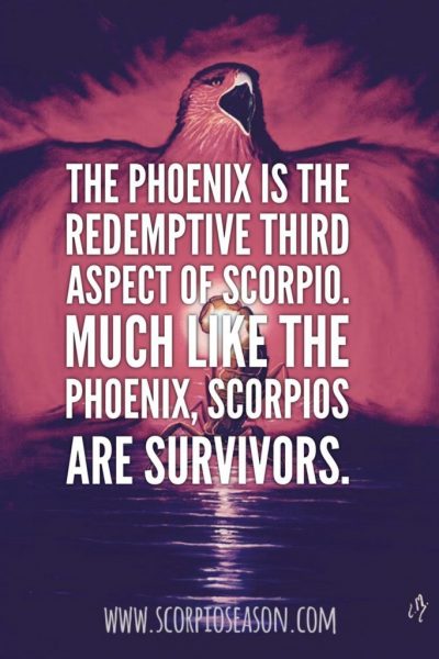 The Phoenix is the redemptive third aspect of this sign. Much like the Phoenix,…