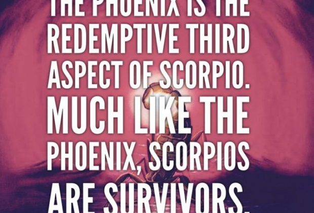 The Phoenix is the redemptive third aspect of this sign. Much like the Phoenix,…
