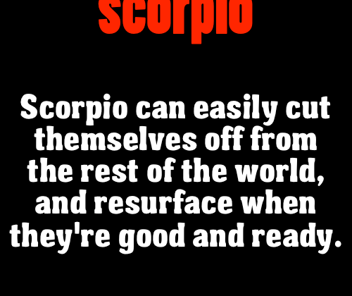 Zodiac City