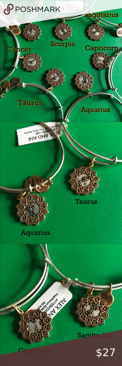 Alex and Ani two tone zodiac bangles astrology NWT The price is for *each*…