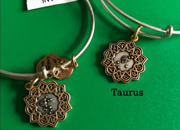 Alex and Ani two tone zodiac bangles astrology NWT The price is for *each*…