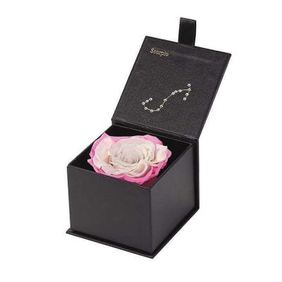 Astor Eternal Zodiac Rose Gift Box – SCORPIO – Wineberry