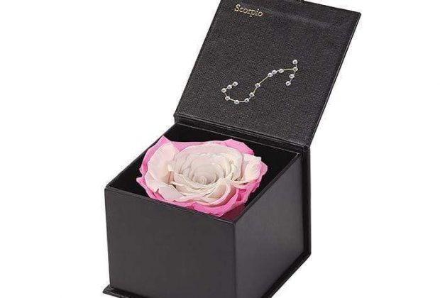 Astor Eternal Zodiac Rose Gift Box – SCORPIO – Wineberry