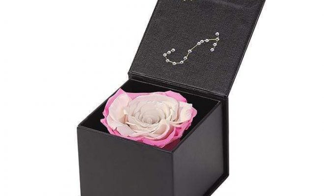 Astor Eternal Zodiac Rose Gift Box – SCORPIO – Wineberry