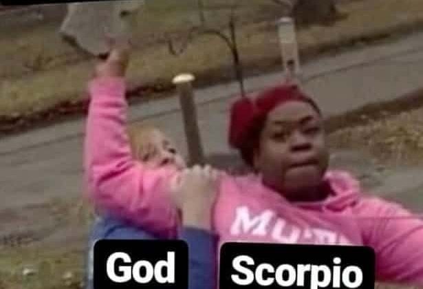 28 Scorpio Memes That Are Painfully Accurate – Our Mindful Life