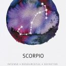 Scorpio ~ Intense, resourceful, secretive