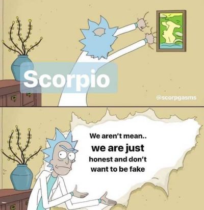 28 Scorpio Memes That Are Painfully Accurate – Our Mindful Life