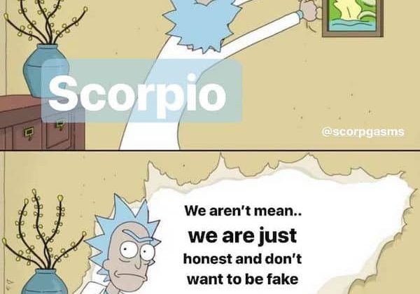 28 Scorpio Memes That Are Painfully Accurate – Our Mindful Life