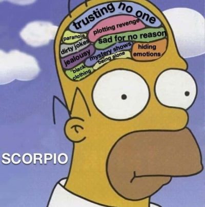 28 Scorpio Memes That Are Painfully Accurate – Our Mindful Life