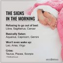 The Zodiac Signs In The Morning
