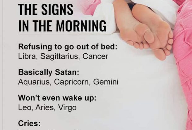 The Zodiac Signs In The Morning