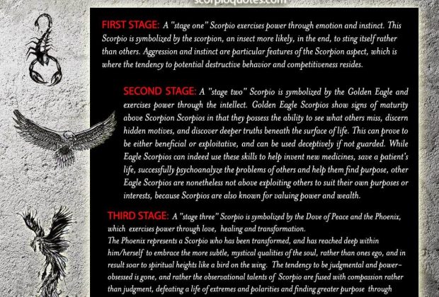 Scorpio Evolution: From Scorpion to Phoenix The Three Stages of the Scorpio Zodiac: the…