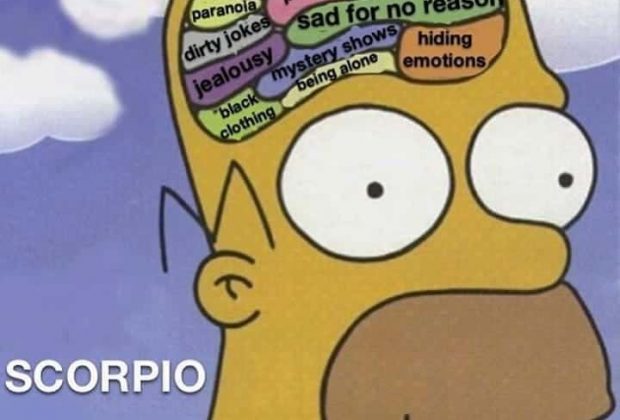 28 Scorpio Memes That Are Painfully Accurate – Our Mindful Life