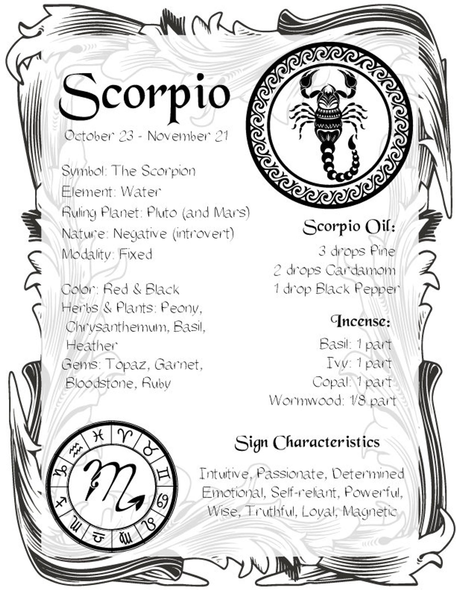 Zodiac 12 Signs Printable Book of Shadows PDF pages Wicca | Etsy