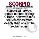Scorpio feels