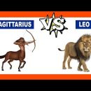 Sagittarius vs. Leo: Who Is The Strongest Zodiac Sign?