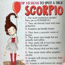 Scorpio Quotes 🦂 on Instagram: “ #scorpio #scorpions #scorpion #scorpiowoman #scorpiomen #scorpionation