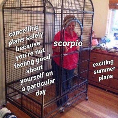 28 Scorpio Memes That Are Painfully Accurate – Our Mindful Life